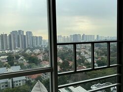 Studio 3 (D10), Apartment #525634181